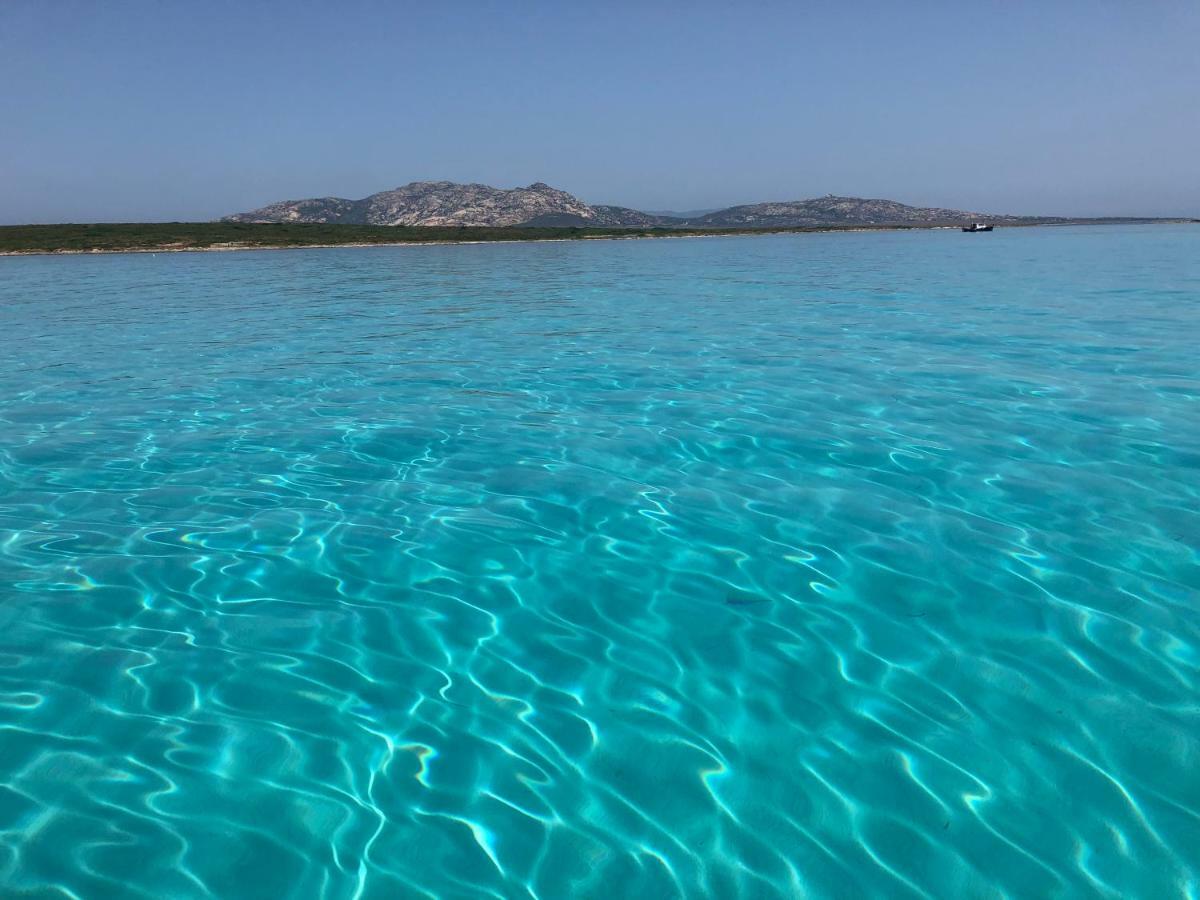 Casa Vacanze La Guzzetta Ranch Villa Canaglia Eksteriør billede